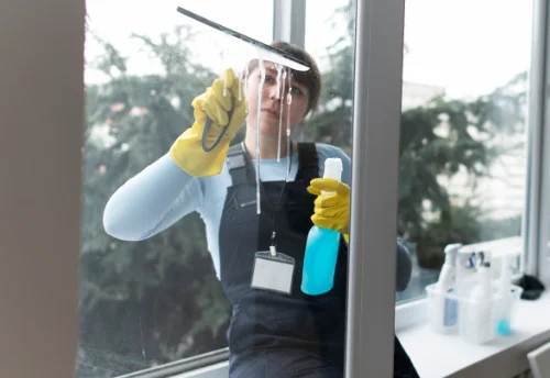 Nettoyage de vitres intérieures et extérieures à Vérin